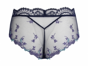 eclosion blauw