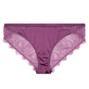 L2242045500 purple