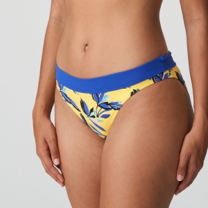 vanhine tropical sun