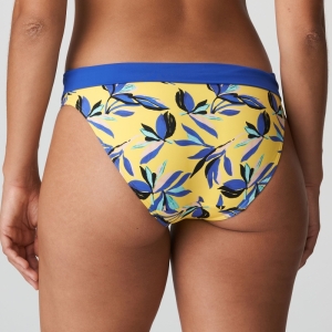vanhine tropical sun