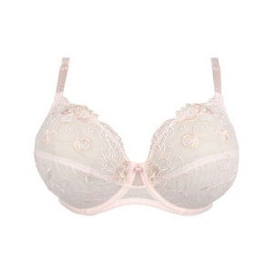 rose de venise desir venise