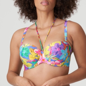 Sazan blue bloom