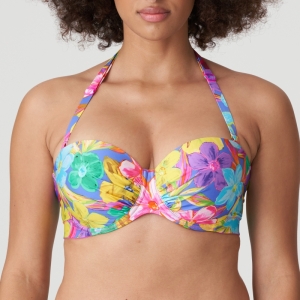 Sazan blue bloom