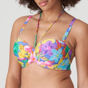 Sazan blue bloom