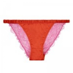 wild rose red