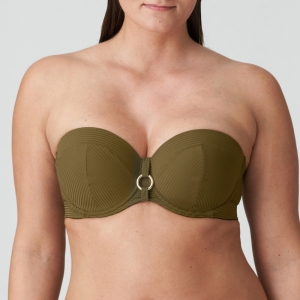 Sahara olijf