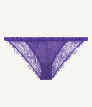 wild rose purple