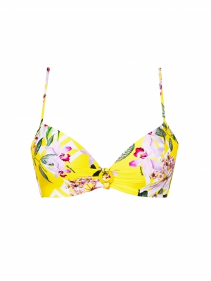 jardin delice soleil delic