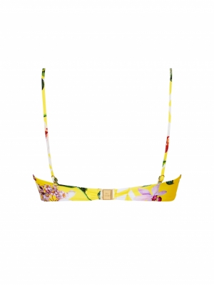 jardin delice soleil delic