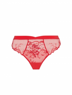source beute hibiscus
