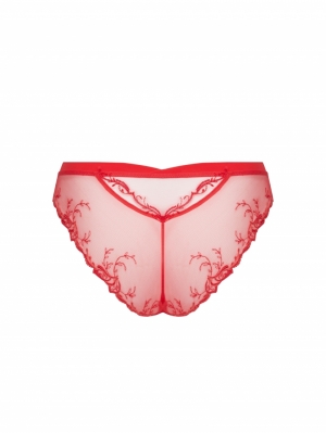 source beute hibiscus
