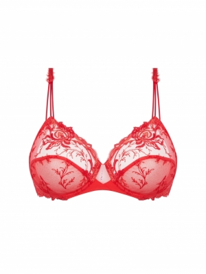 source beaute hibiscus