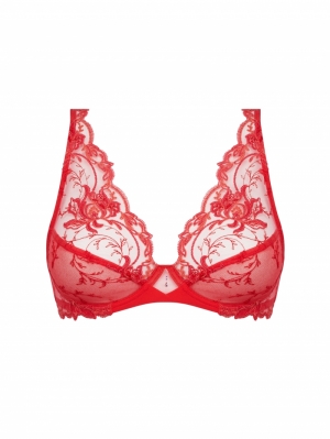 source beaute hibiscus