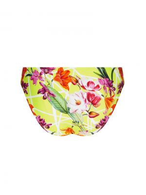 fleurs splendeur splendeur
