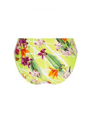 fleurs splendeur splendeur
