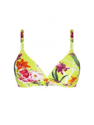 fleurs splendeur splendeur