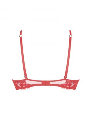 desirs de venise rood